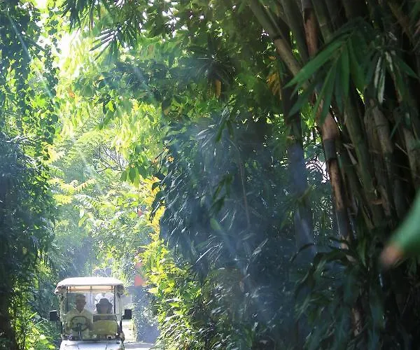 Artist Village By Pramana Watu Kurung 2* Ubud
